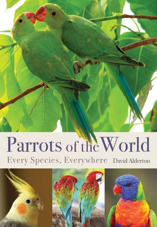 Parrots Of The World Illustrated Guide To Every Species
