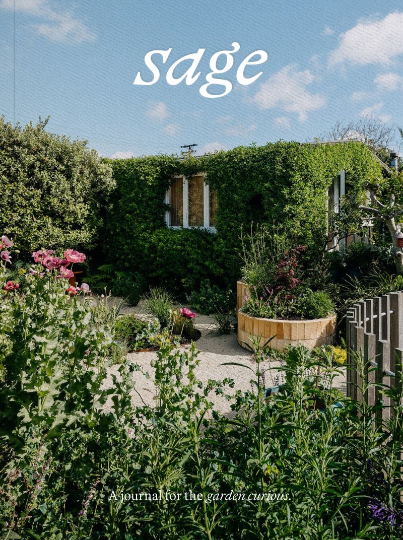 Sage Vol 2 Our Creative Nature