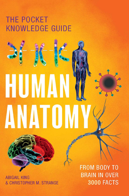 Human Anatomy