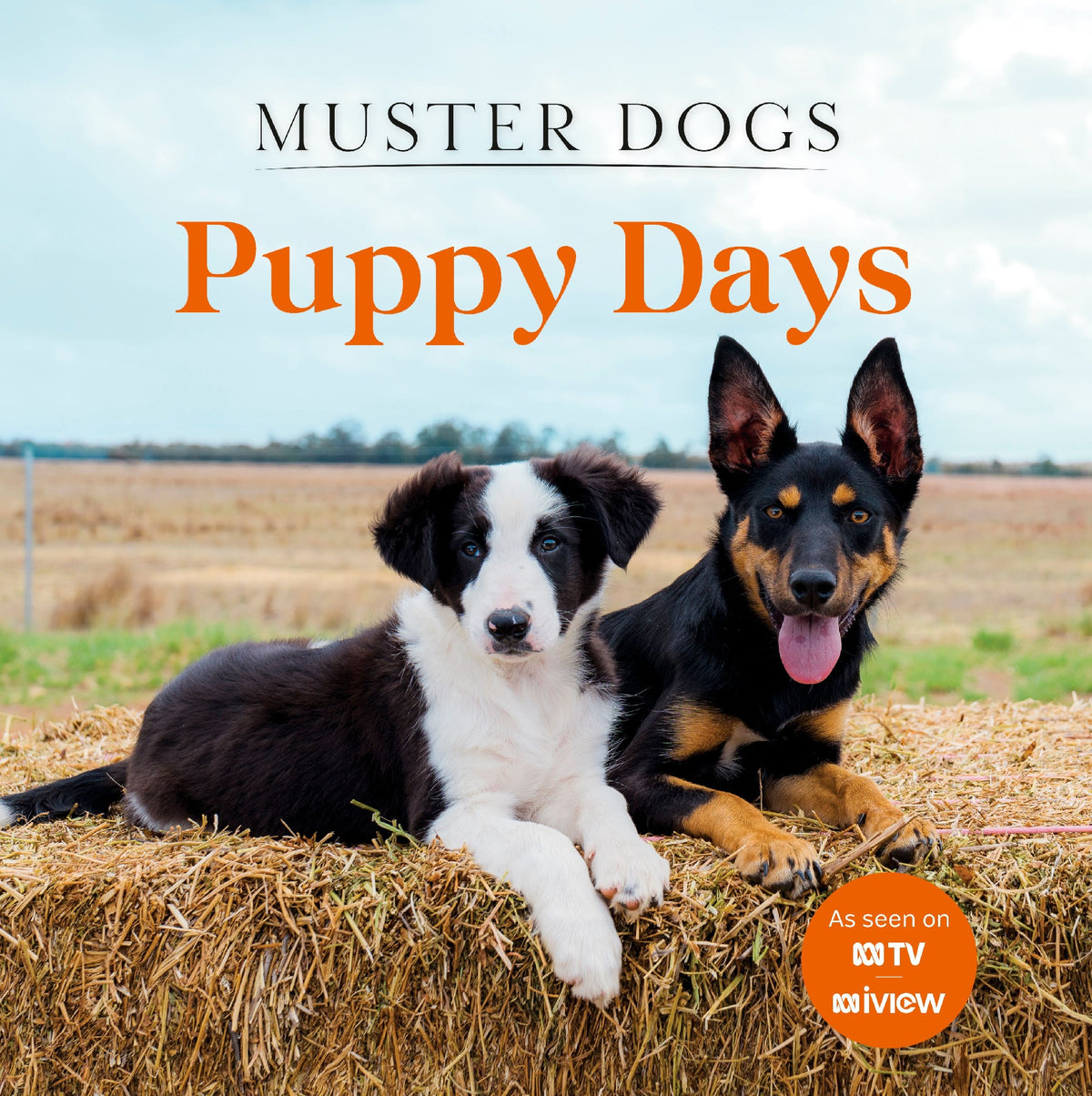 Muster Dogs Puppy Days