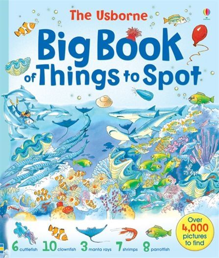 Usborne Big Book Of Things To Spot