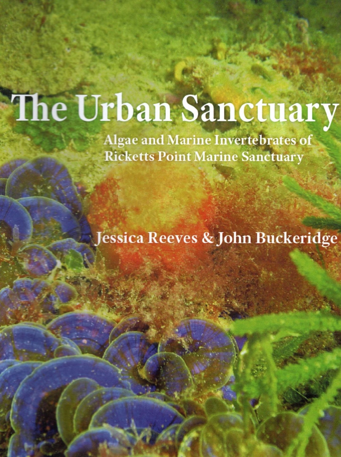 Urban Sanctuary 1