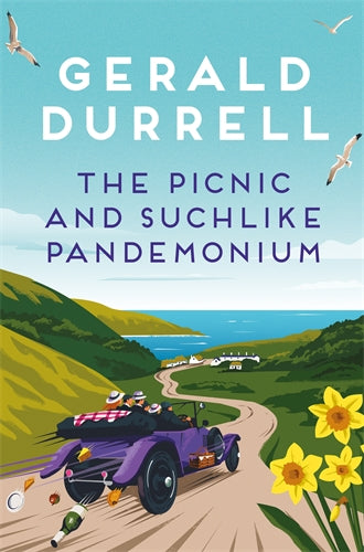 Picnic And Suchlike Pandemonium, The