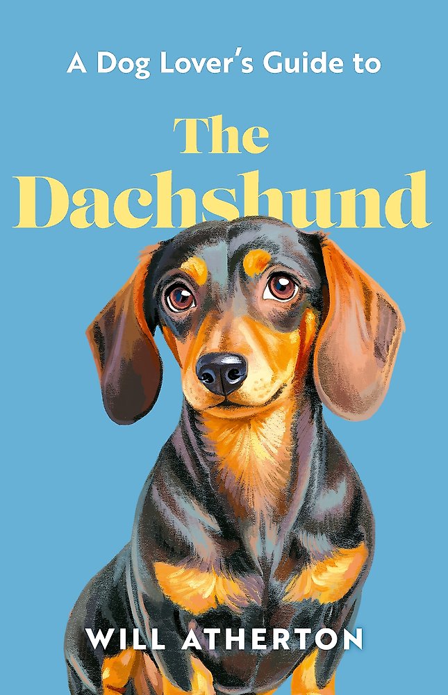 Dog Lover S Guide To The Dachshund
