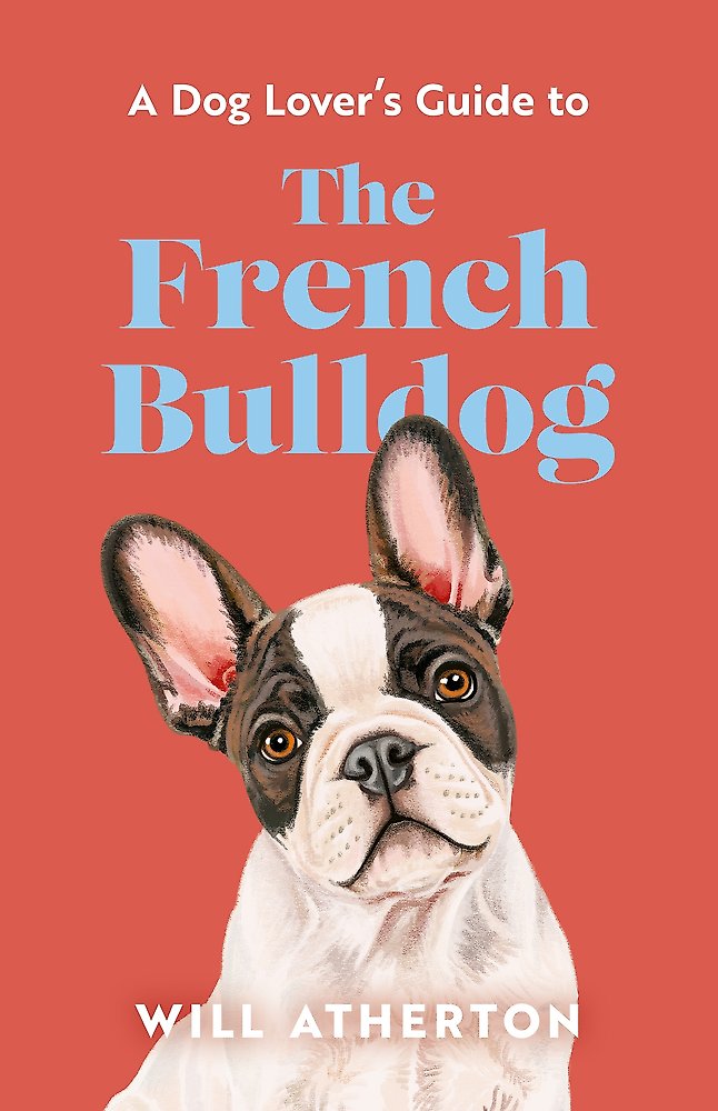 Dog Lover S Guide To The French Bulldog