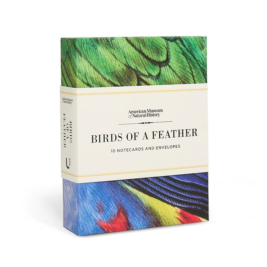 Birds Of A Feather Notecards And Envelopes