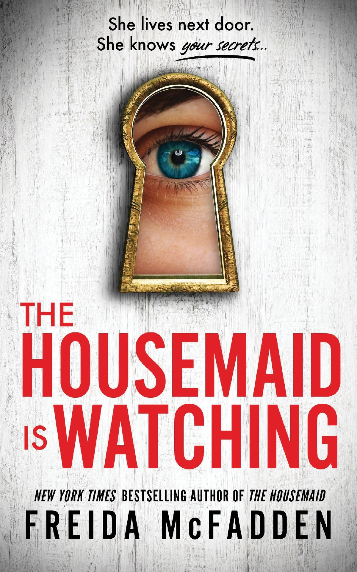 Housemaid #3 Housemaid Is Watching