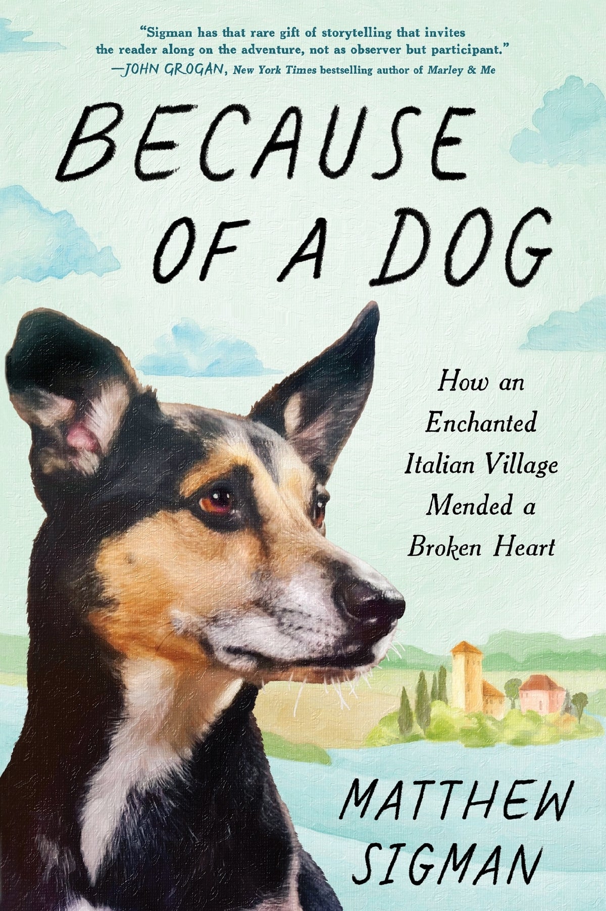 Because Of A Dog