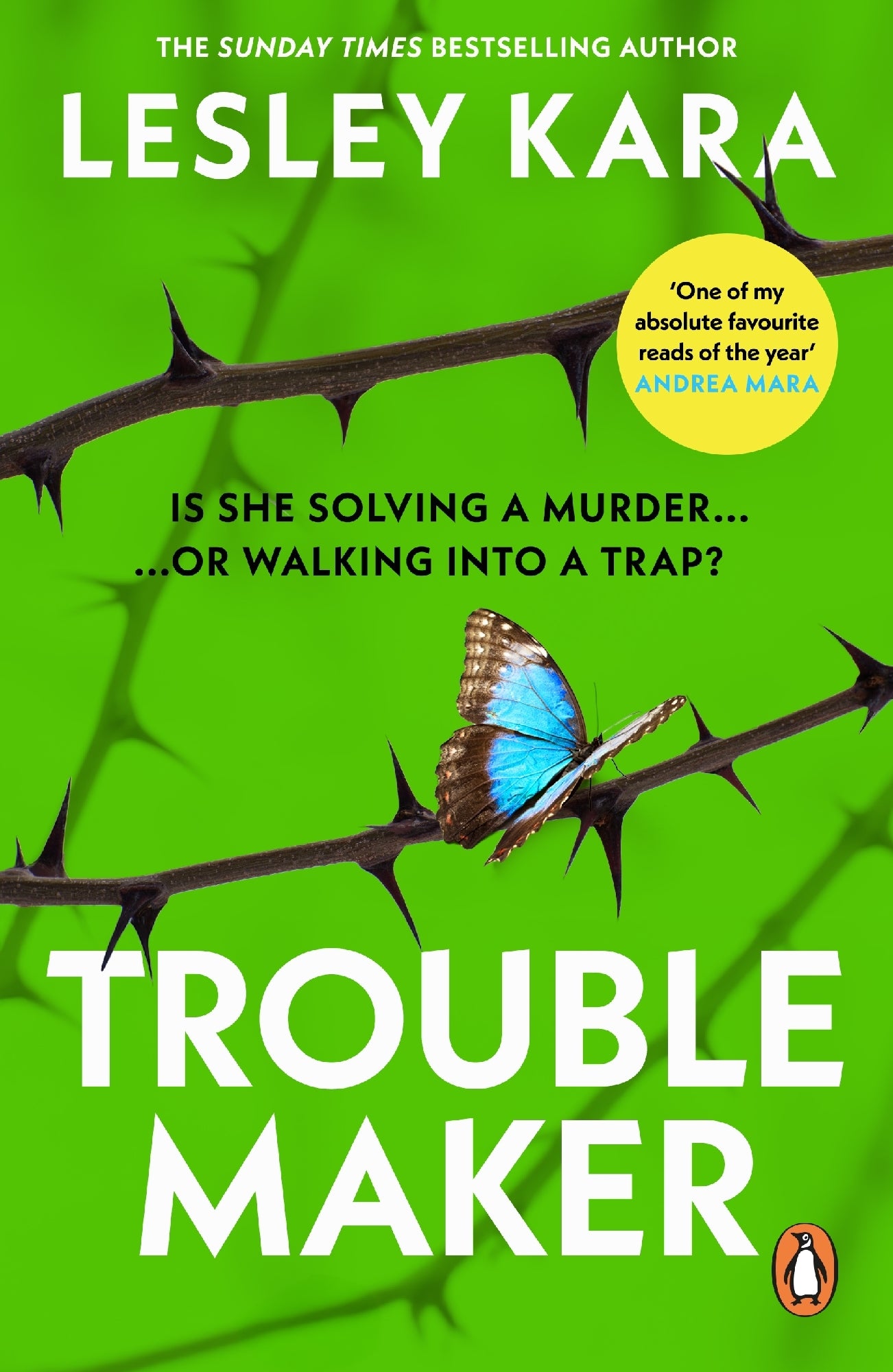 Troublemaker