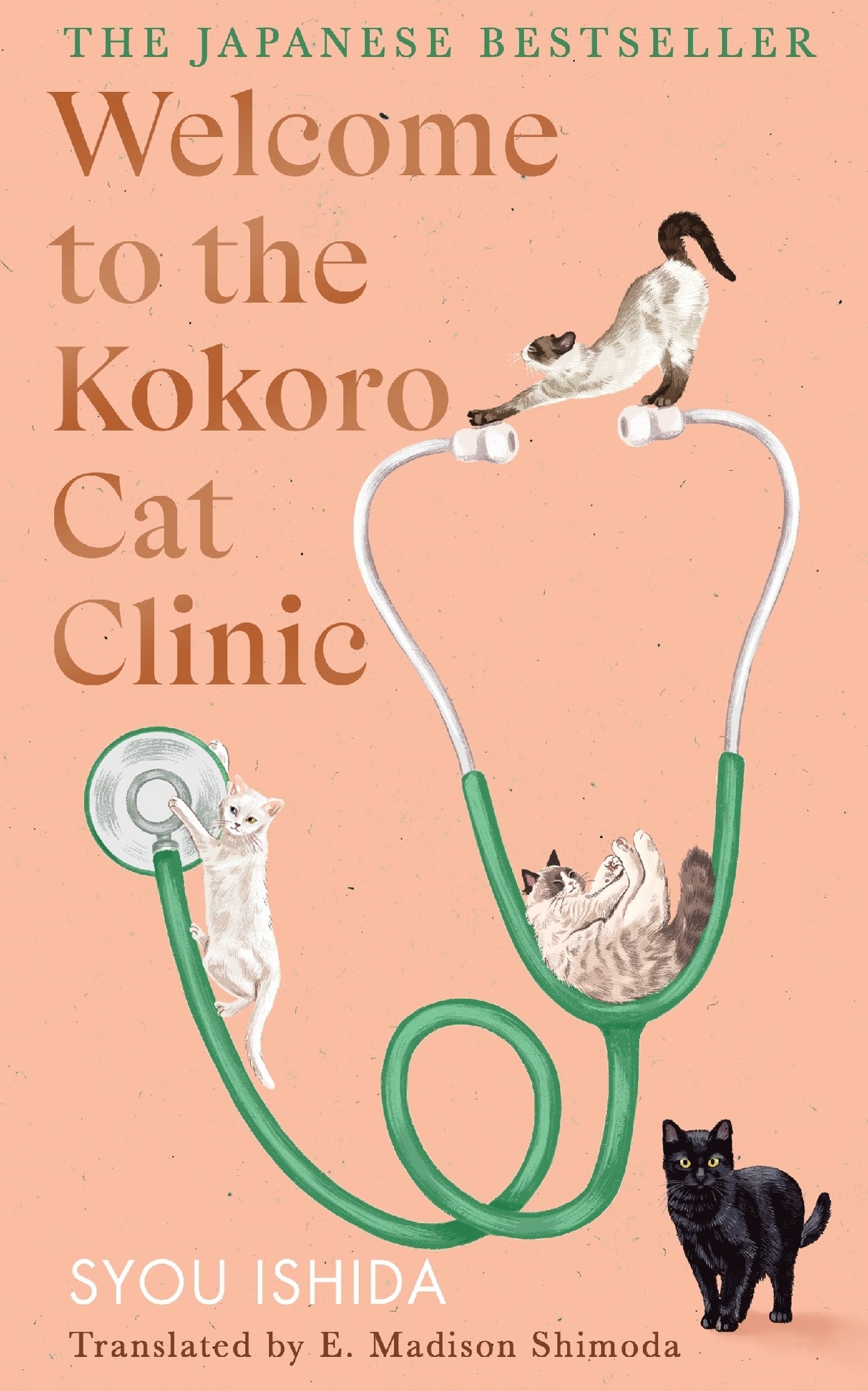 Welcome To The Kokoro Cat Clinic