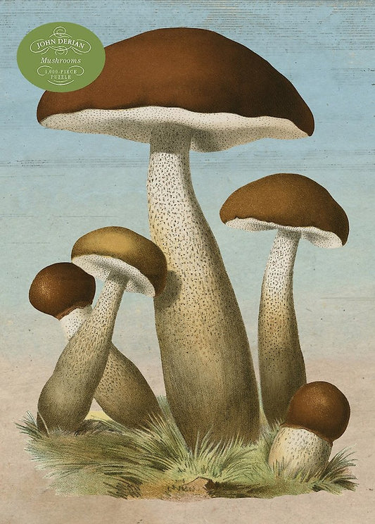 Jigsaw 1000 Mushrooms
