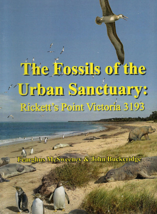 Urban Sanctuary 3 Fossils