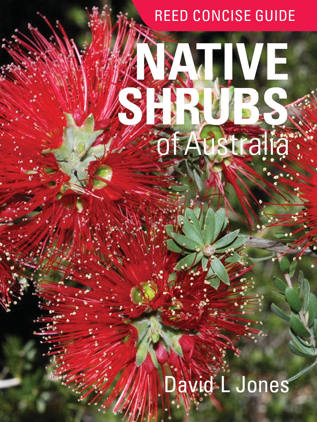 Reed Concise Guide Native Plants (mini Book)