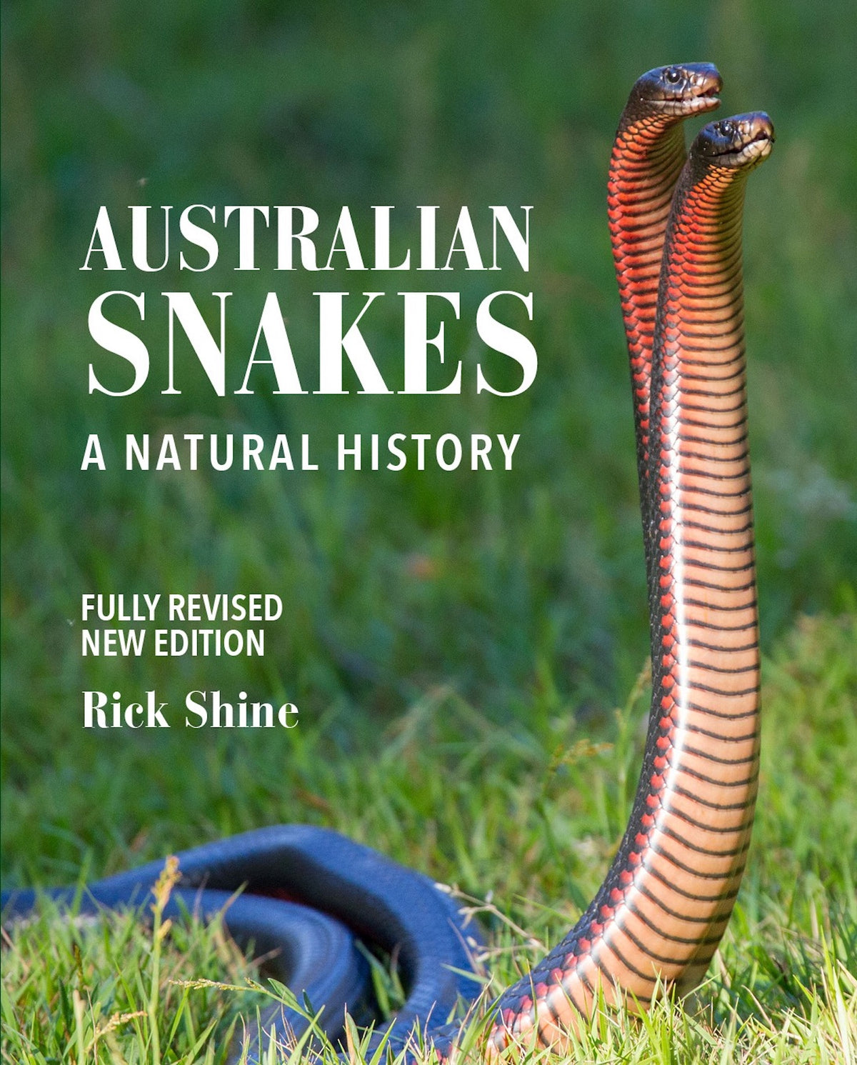 Australian Snakes