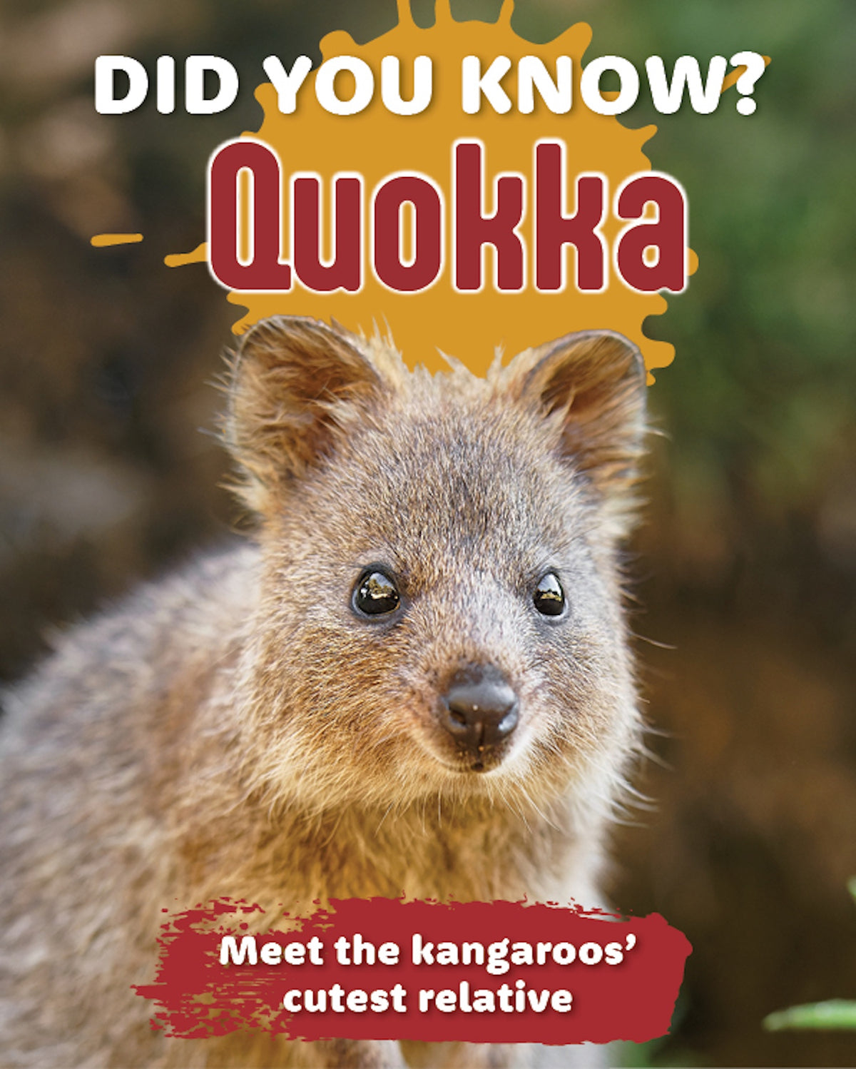 Did You Know? Quokka
