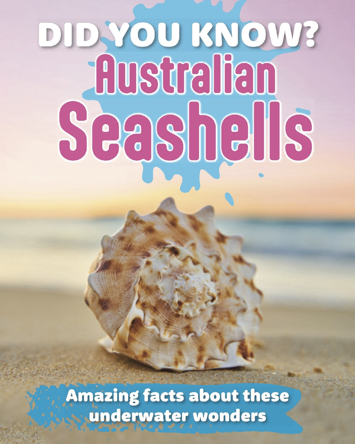 Did You Know? Australian Seashells