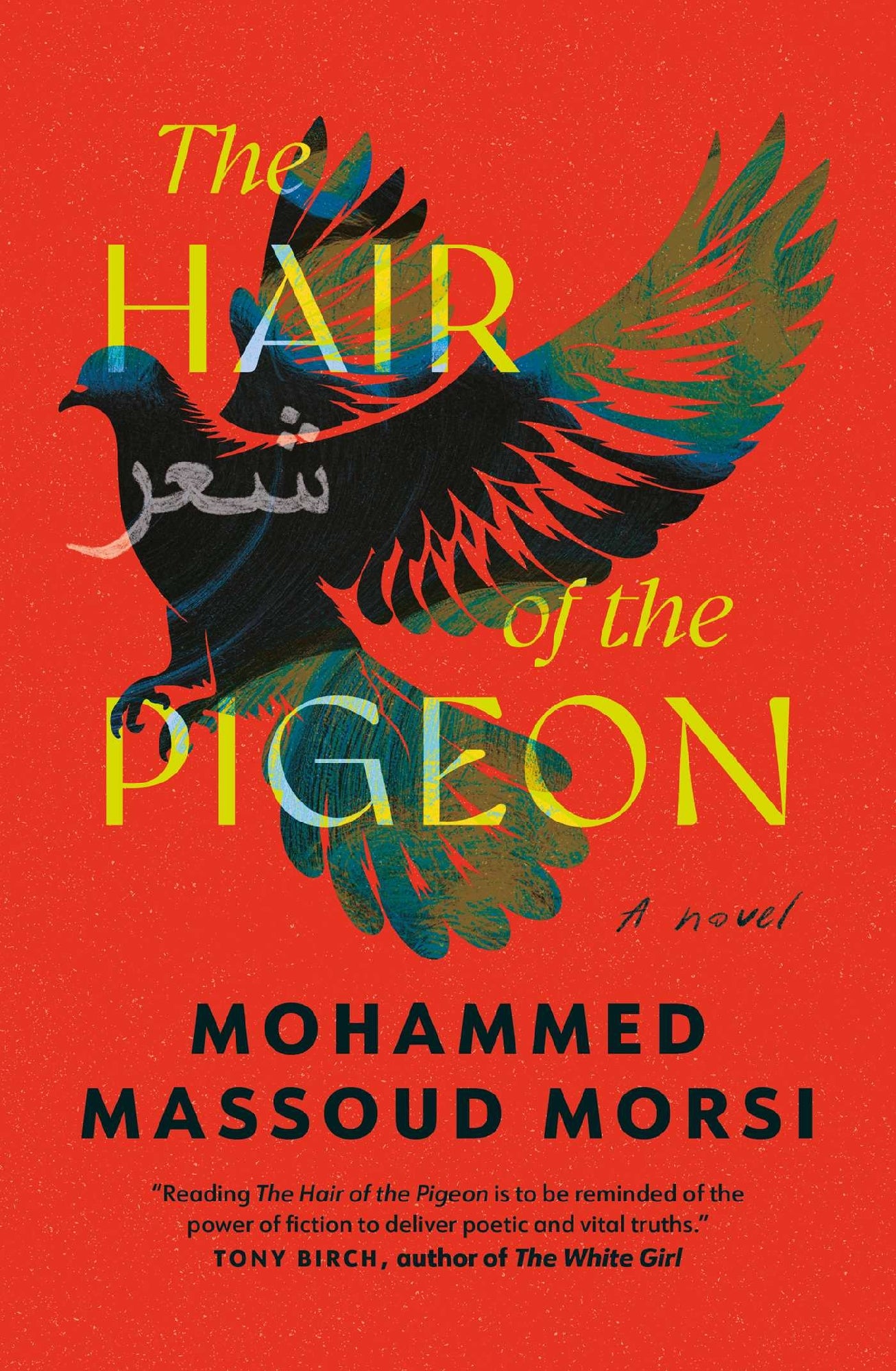 Hair Of The Pigeon