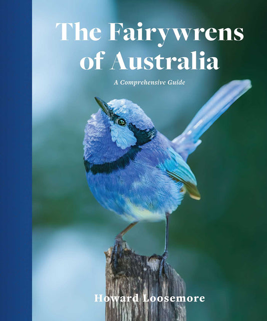 Fairywrens Of Australia