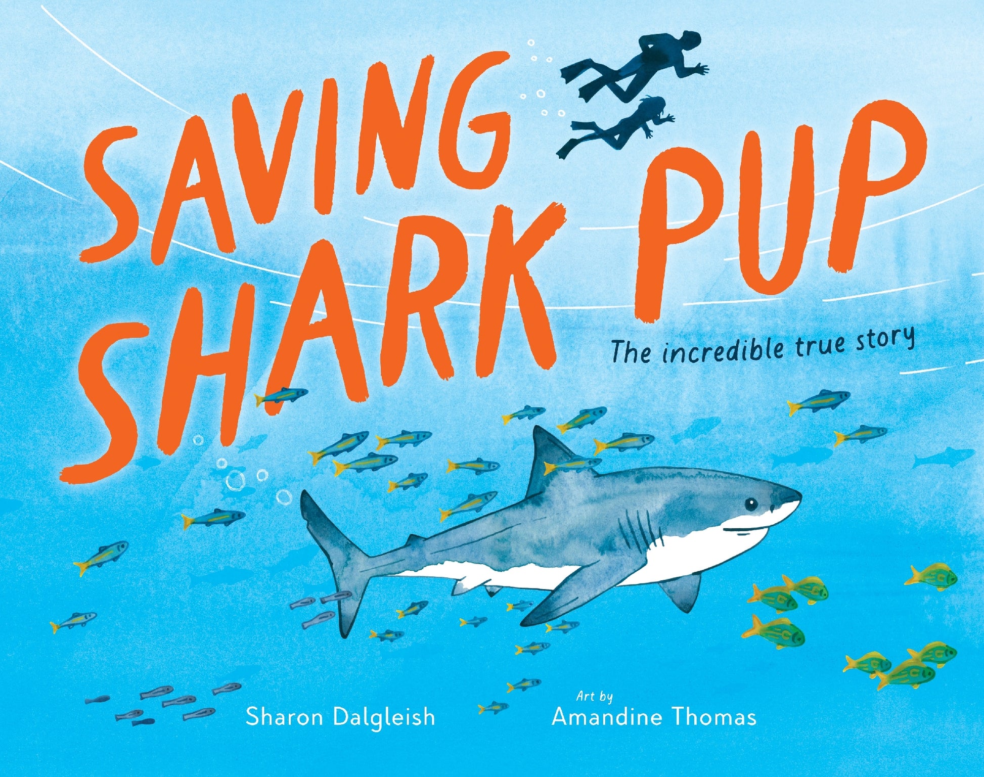 Saving Shark Pup
