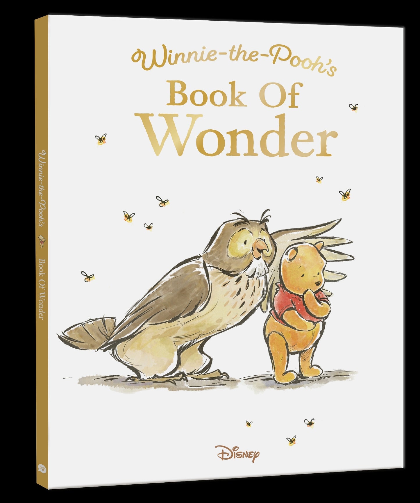 Winnie-the-pooh’s Book Of Wonder