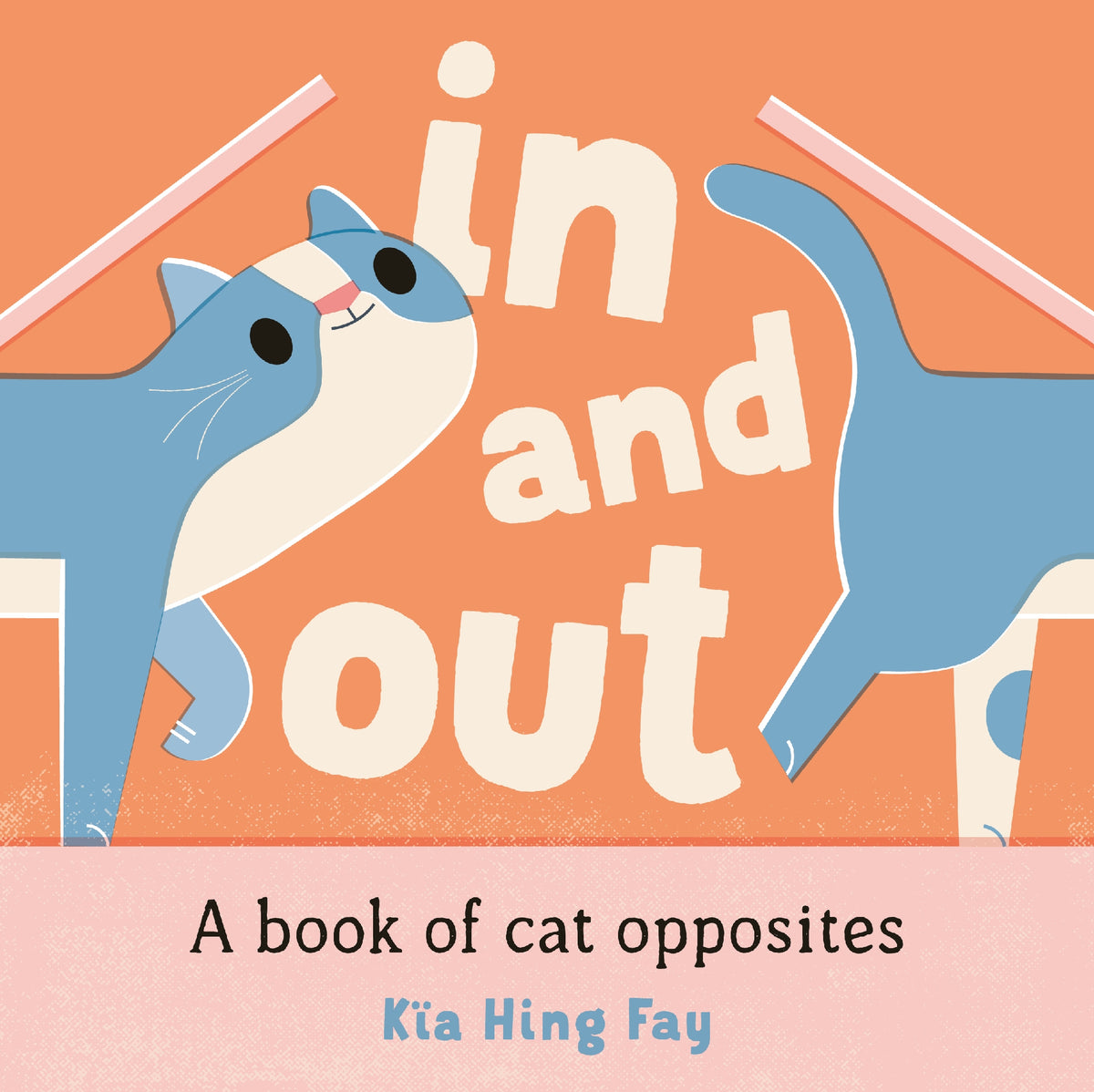 In And Out: A Book Of Cat Opposites