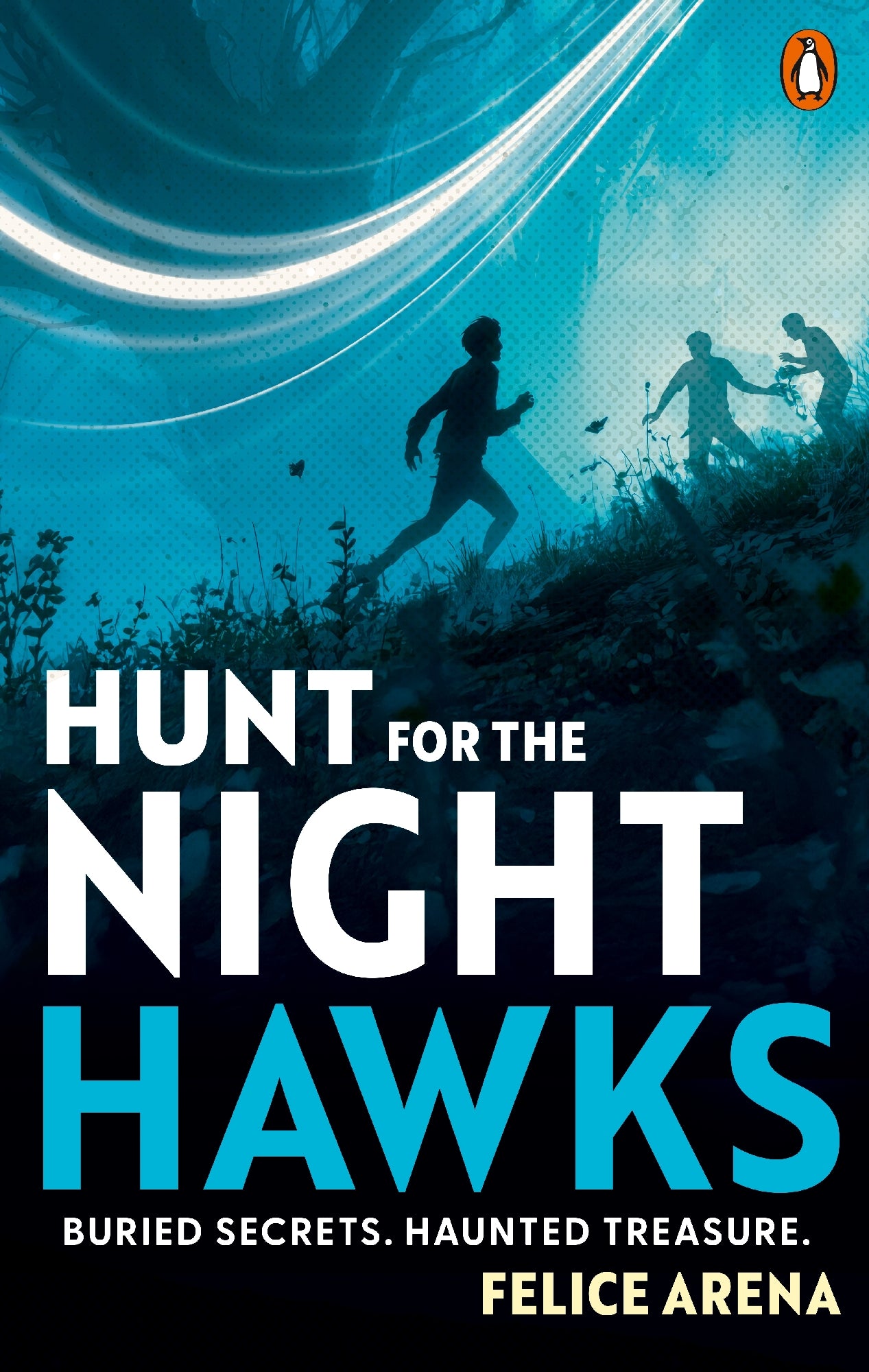 Hunt For The Nighthawks