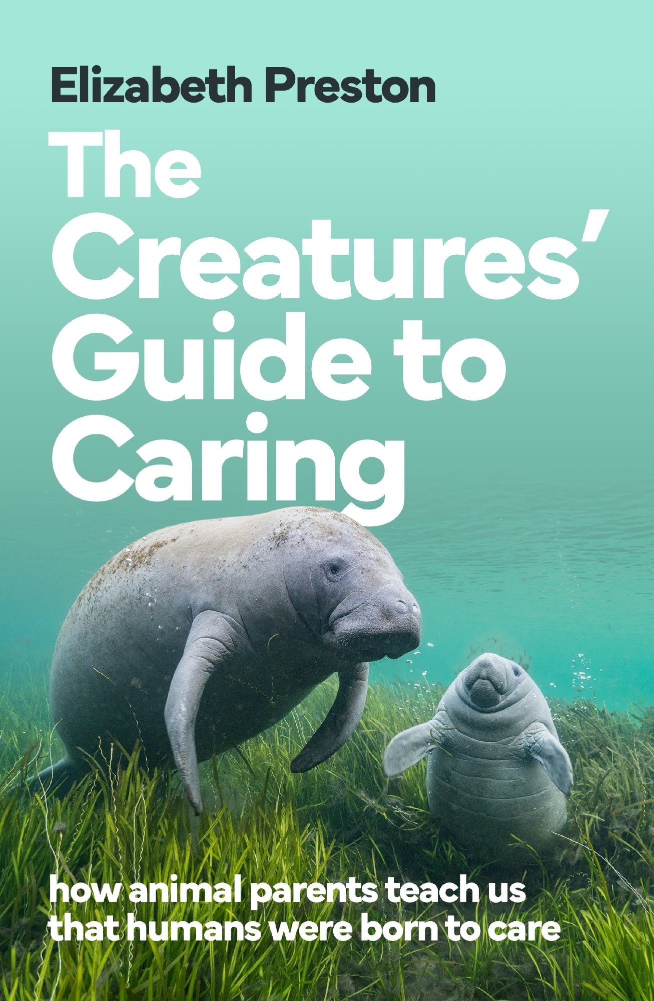 Creatures' Guide To Caring