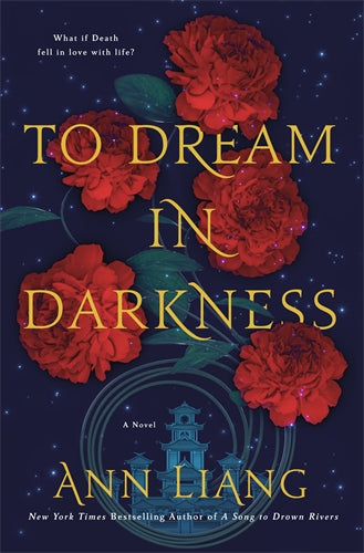 To Dream In Darkness