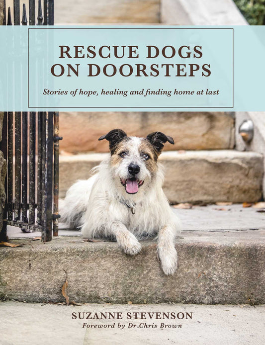 Rescue Dogs On Doorsteps