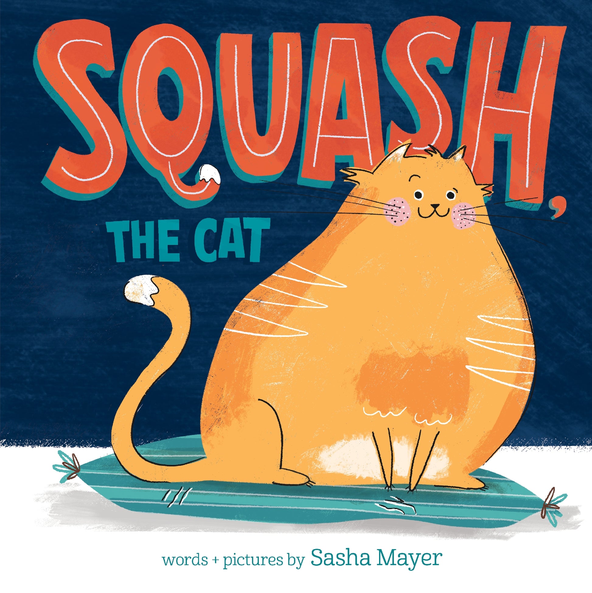 Squash The Cat