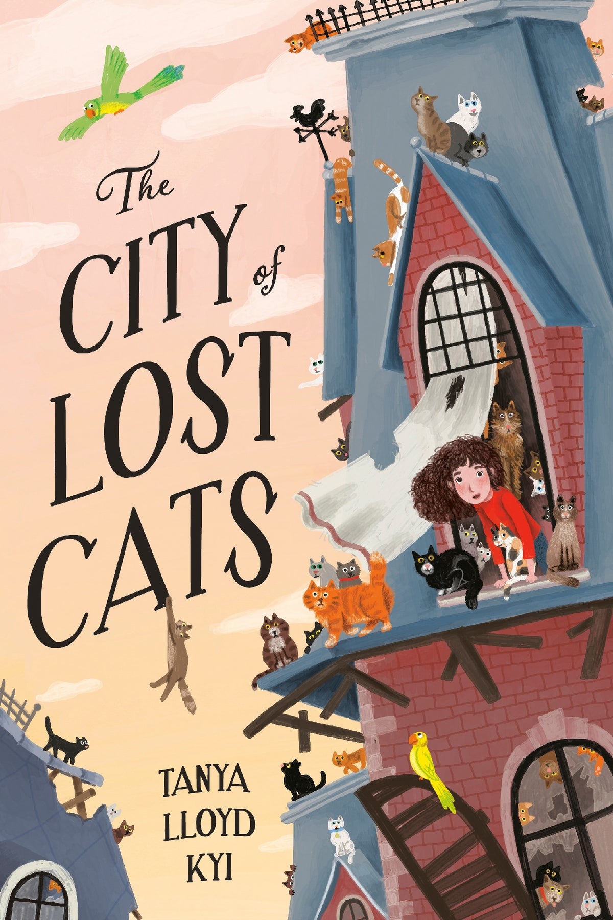City Of Lost Cats