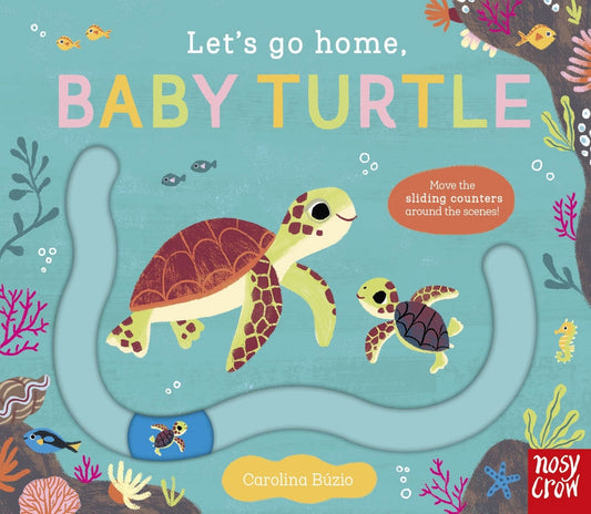 Baby Turtle Let's Go Home