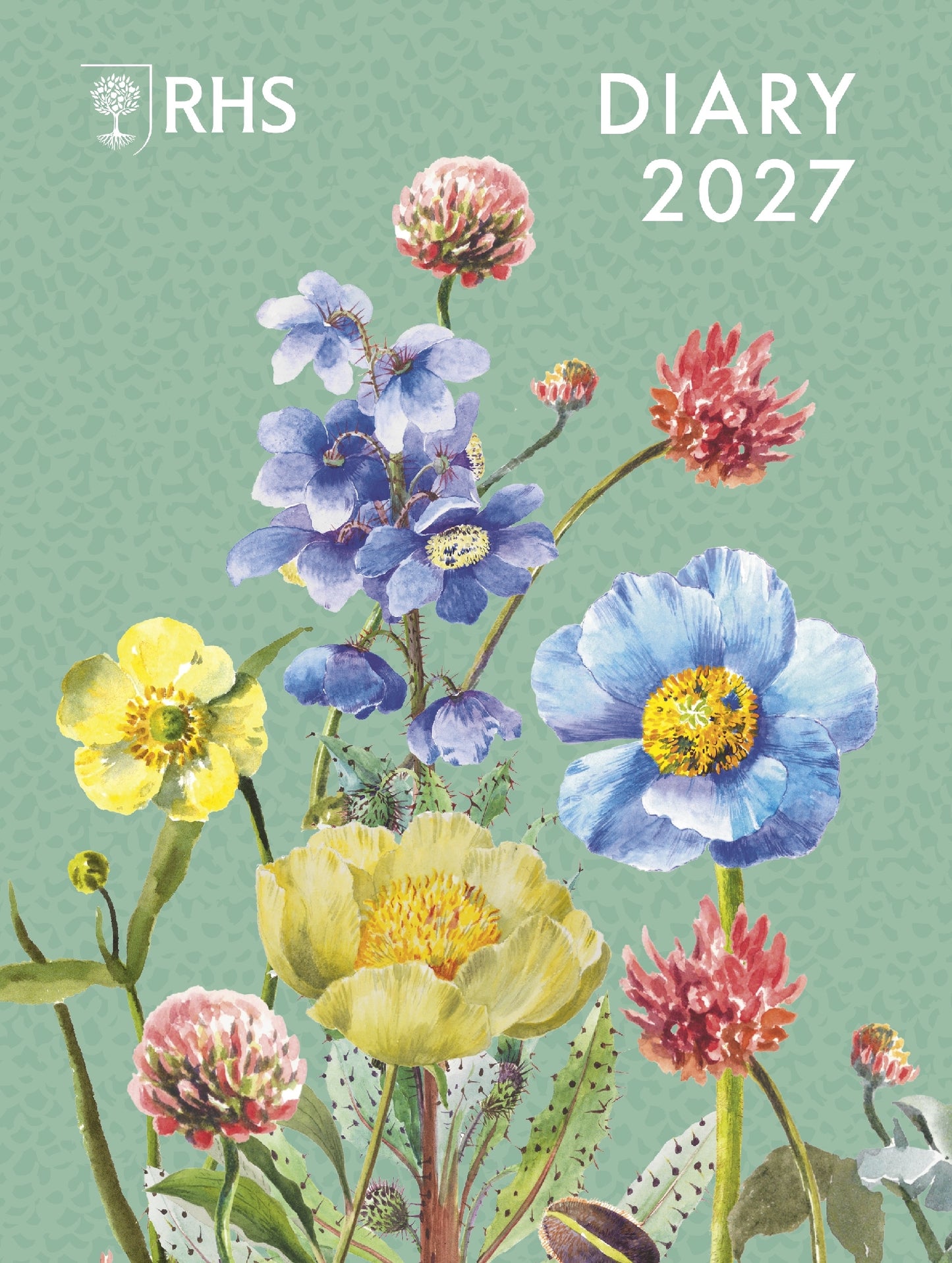 2027 Diary Rhs Desk