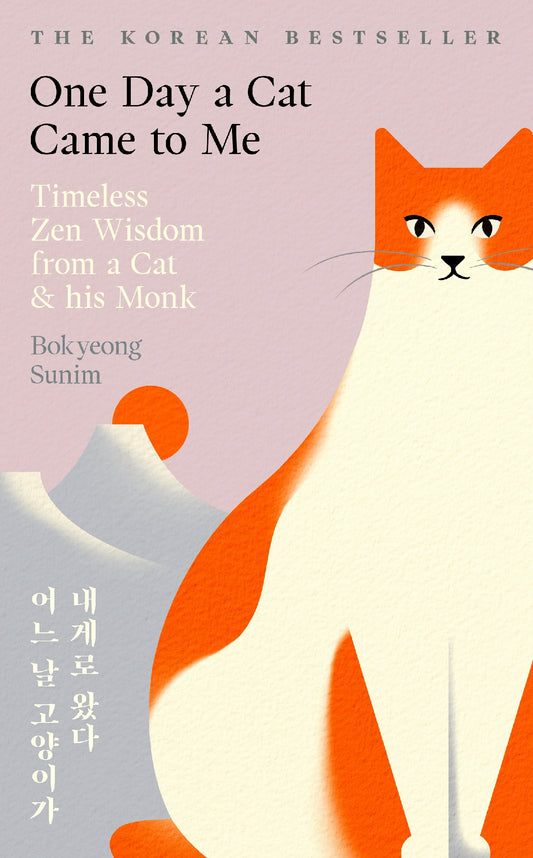 One Day A Cat Came To Me