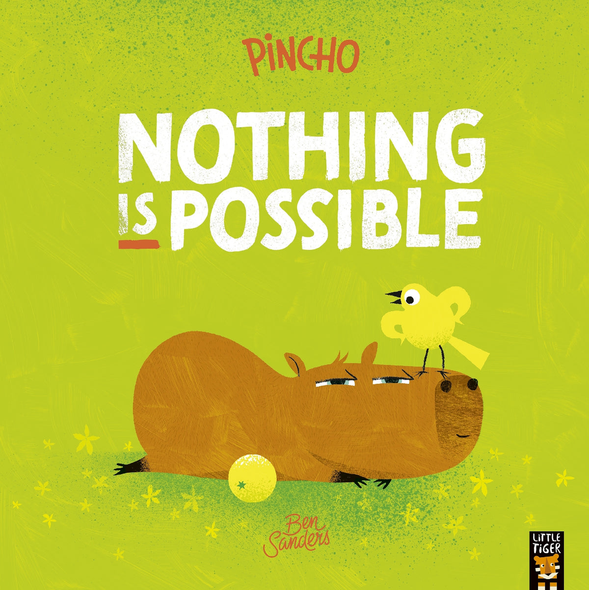 Pincho: Nothing Is Possible