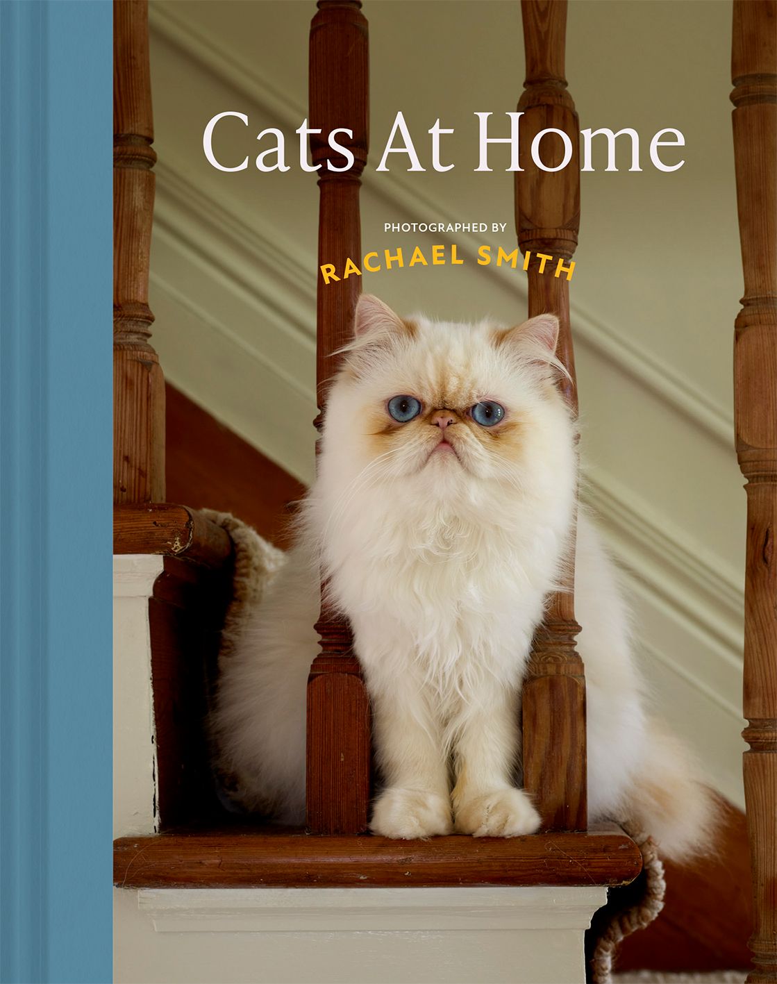 Cats At Home