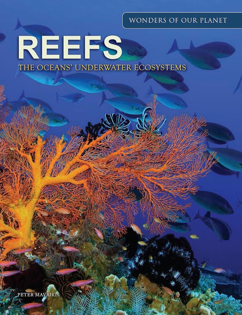 Reefs The Oceans' Underwater Ecosystems
