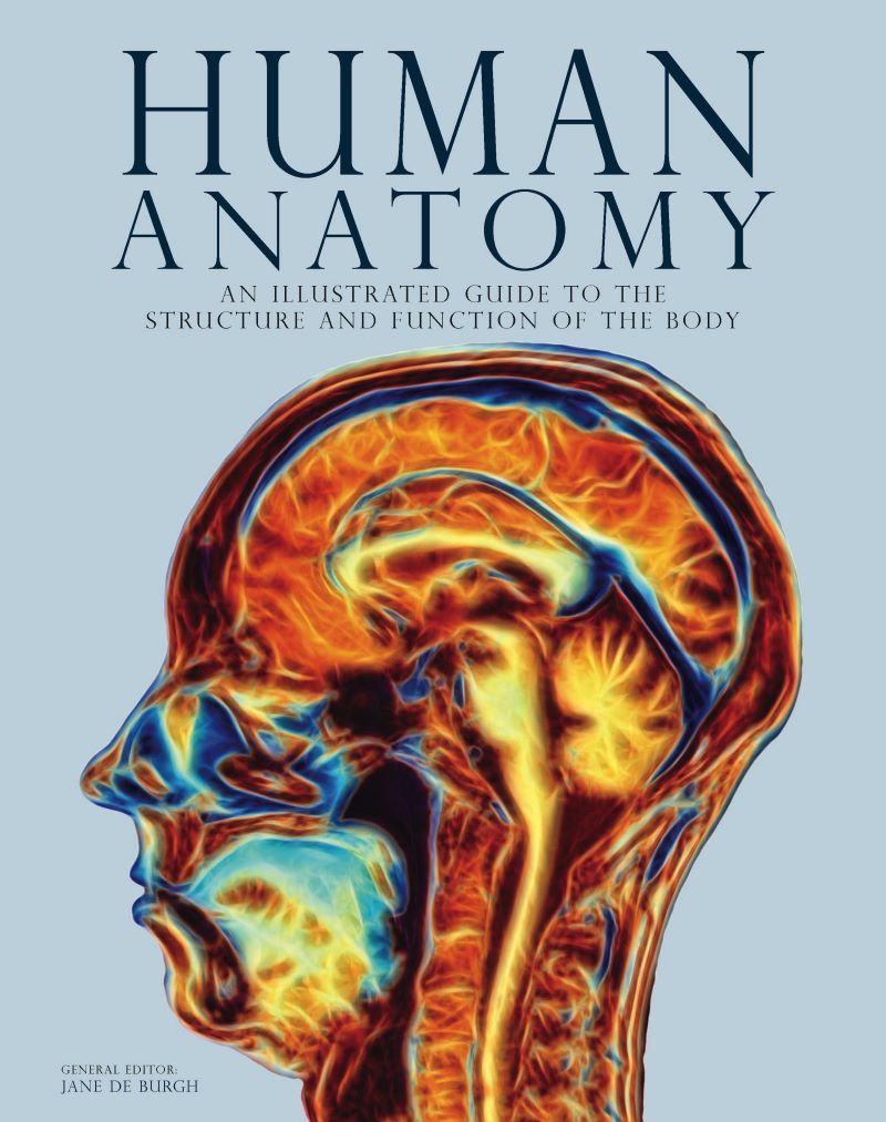 Human Anatomy: An Illustrated Guide To The Structure And Function Of The Body