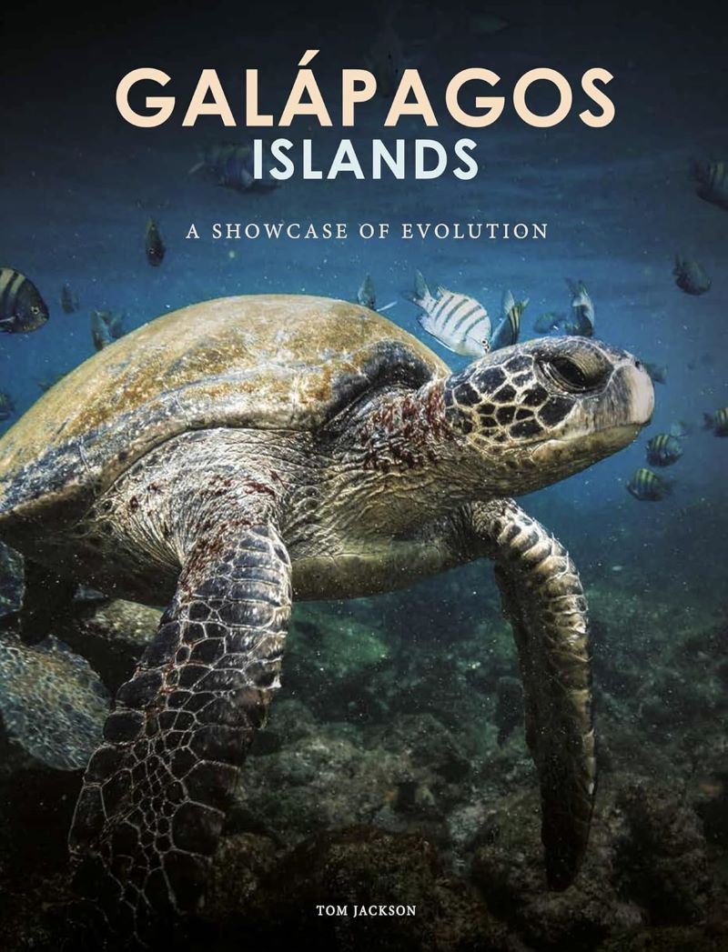 Galapagos Islands Showcase Of Evolution