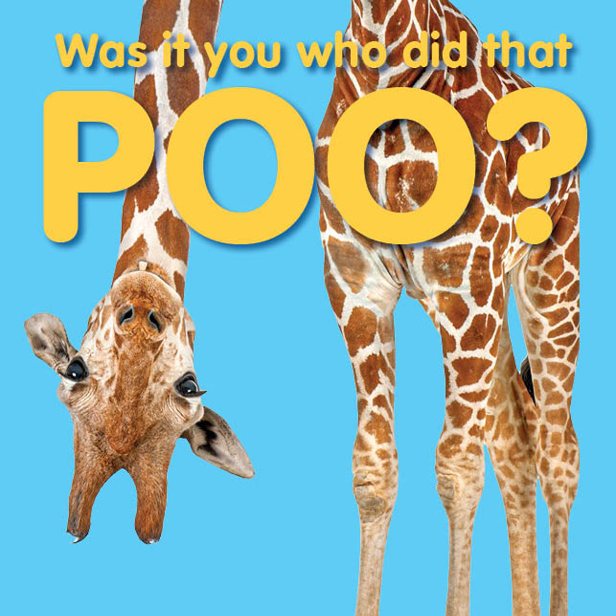 Was It You That Did That Poo?
