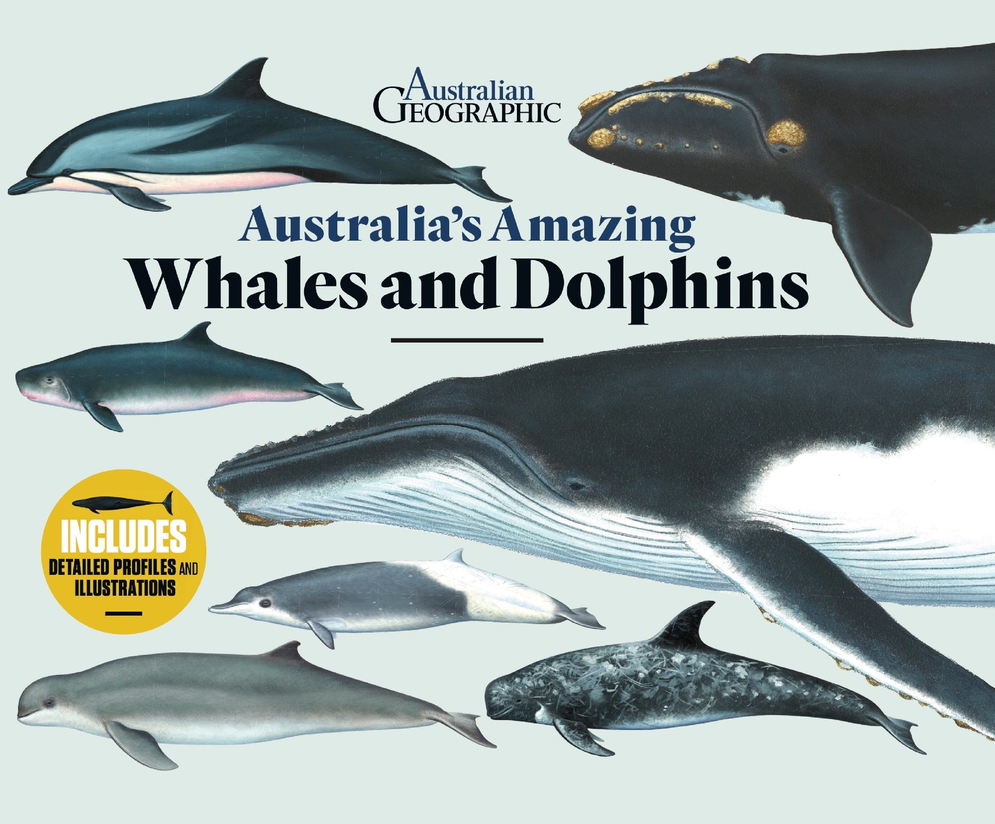 Australia's Amazing Whales Dolphins