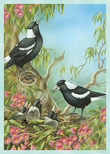Jigsaw 1000 Australian Magpies
