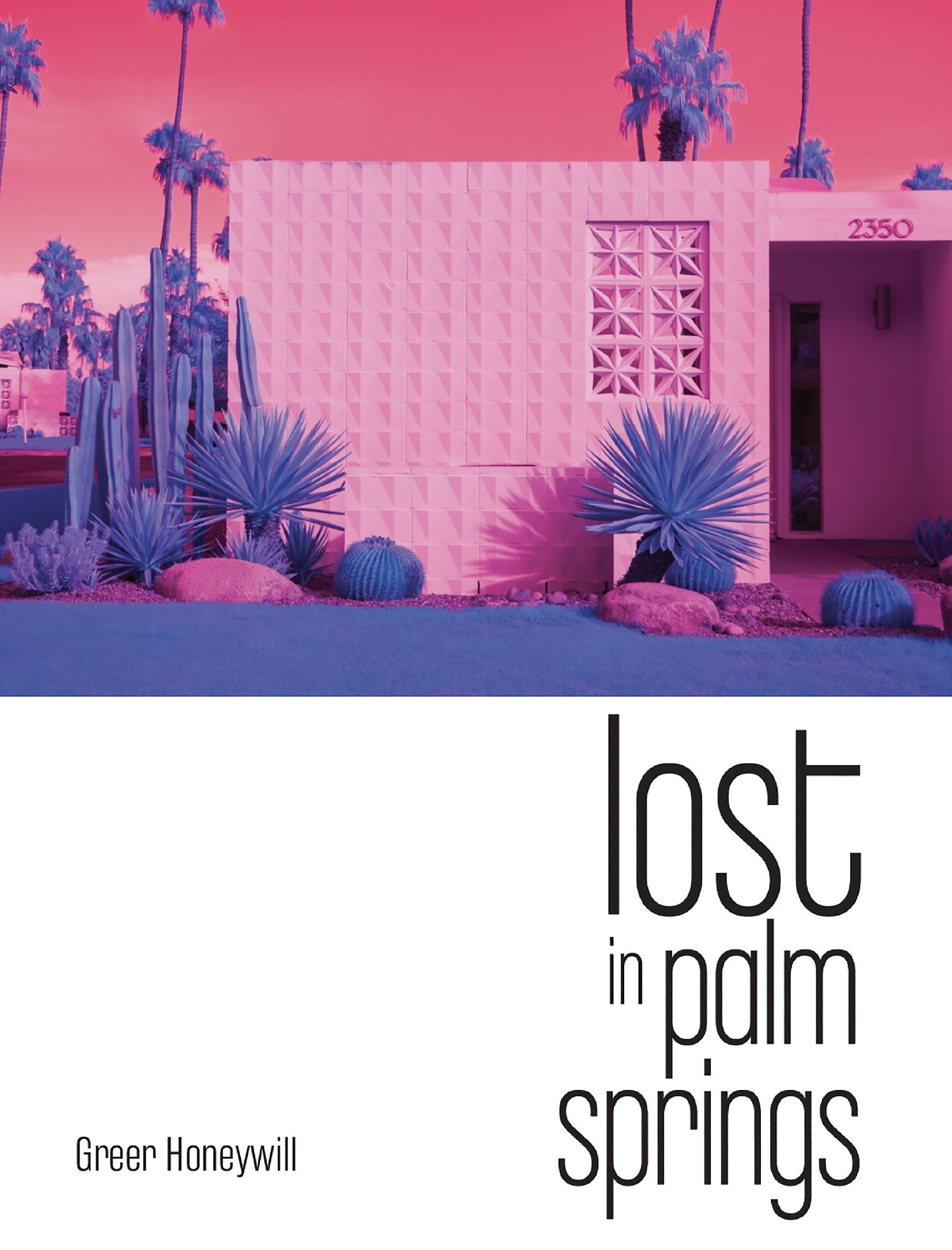 Lost In Palm Springs