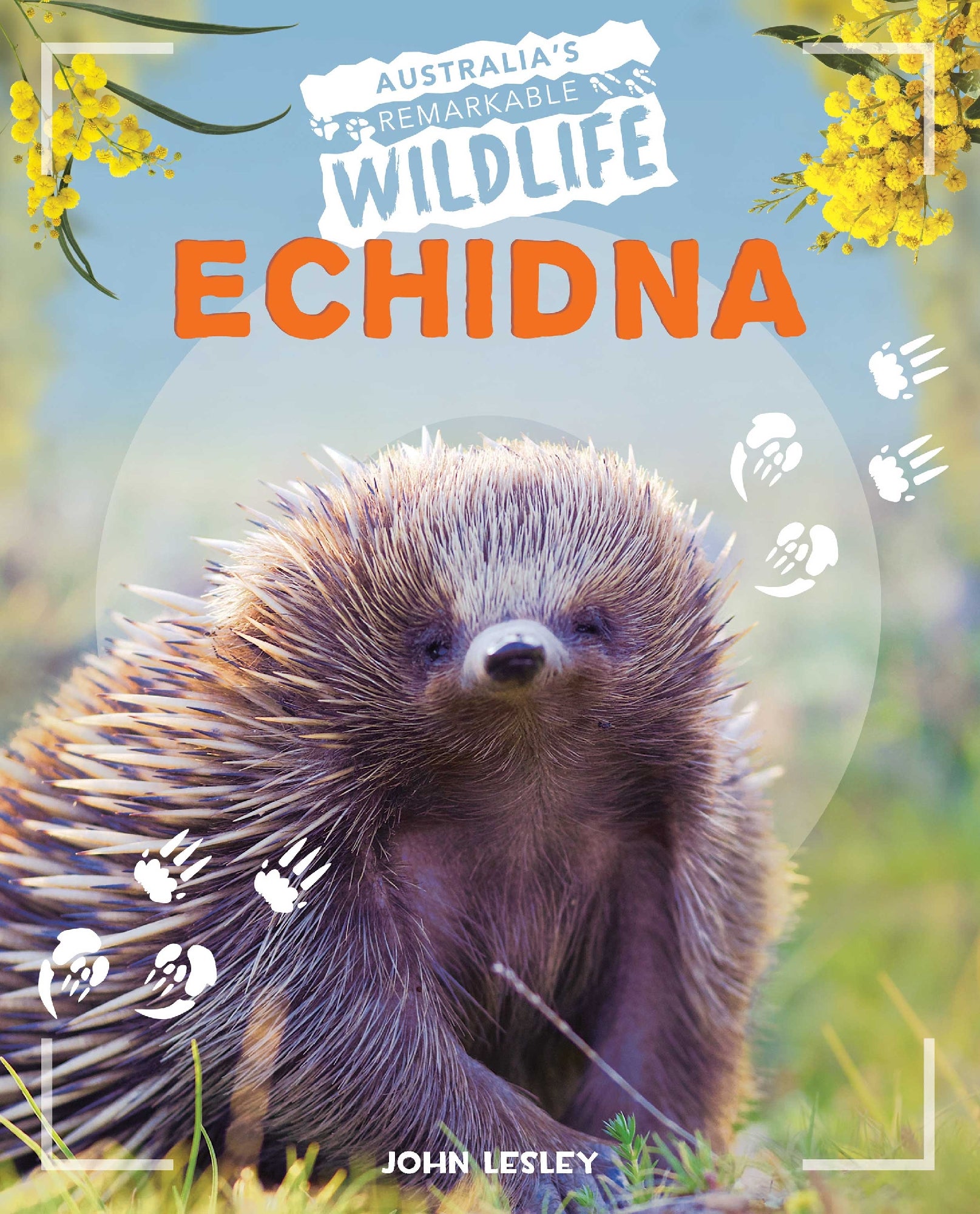 Australia's Remarkable Echidna