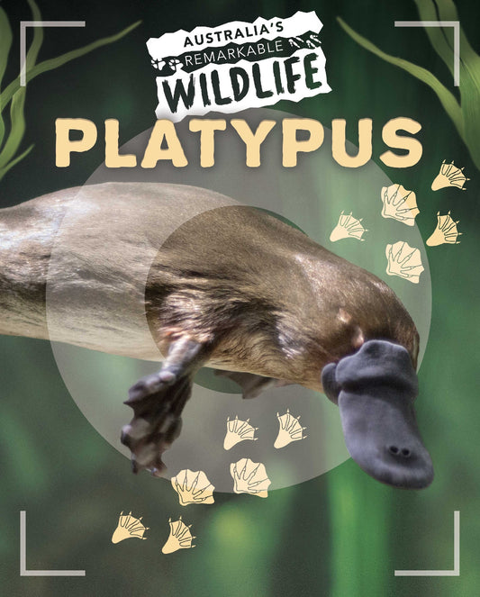 Australia's Remarkable Platypus