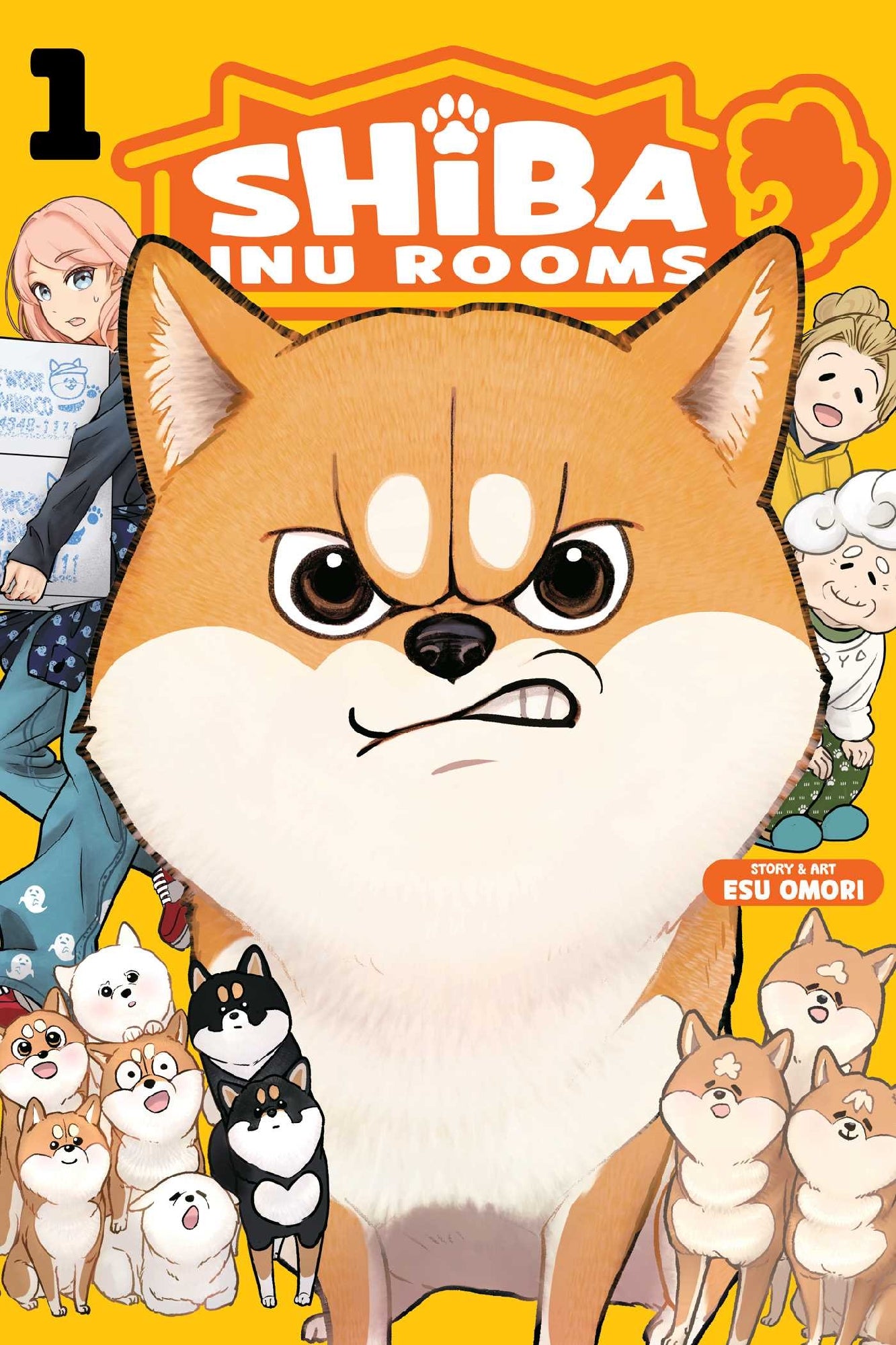Shiba Inu Rooms #1