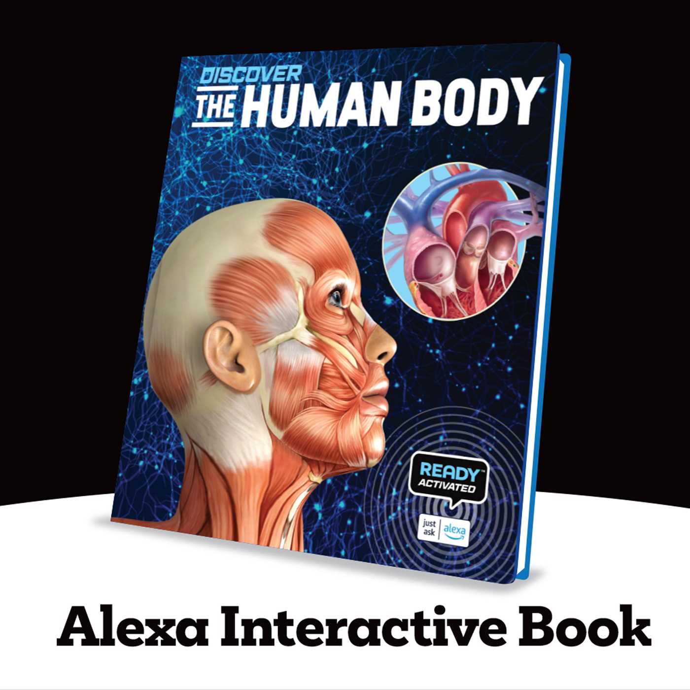 Discover The Human Body