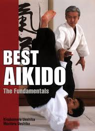 Best Aikido Fundamentals