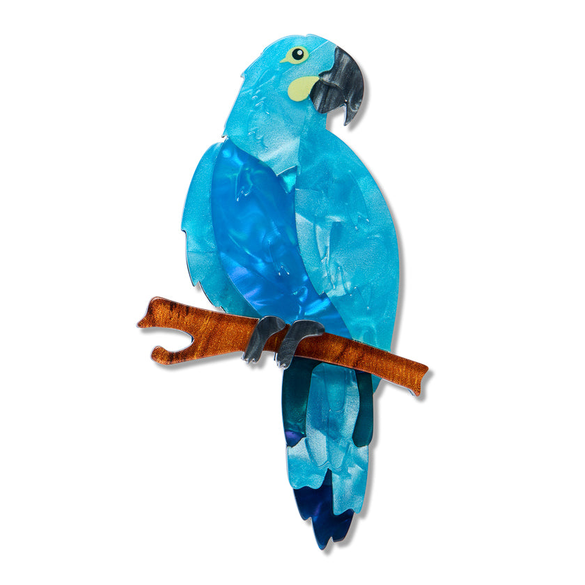 Erstwilder - Brooch Glaucous Macaw